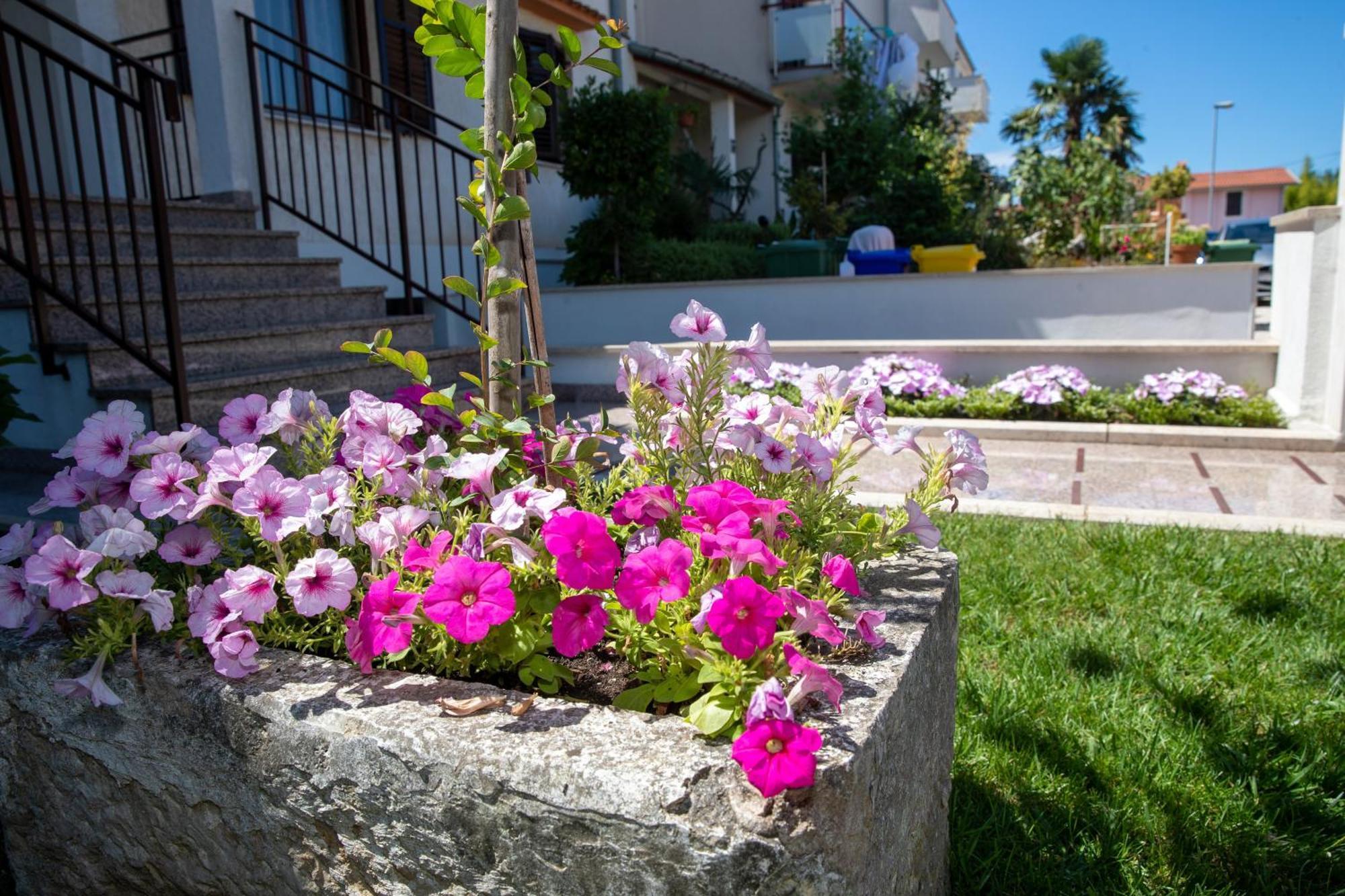 Studio Apartment Noah Rovinj Exterior foto